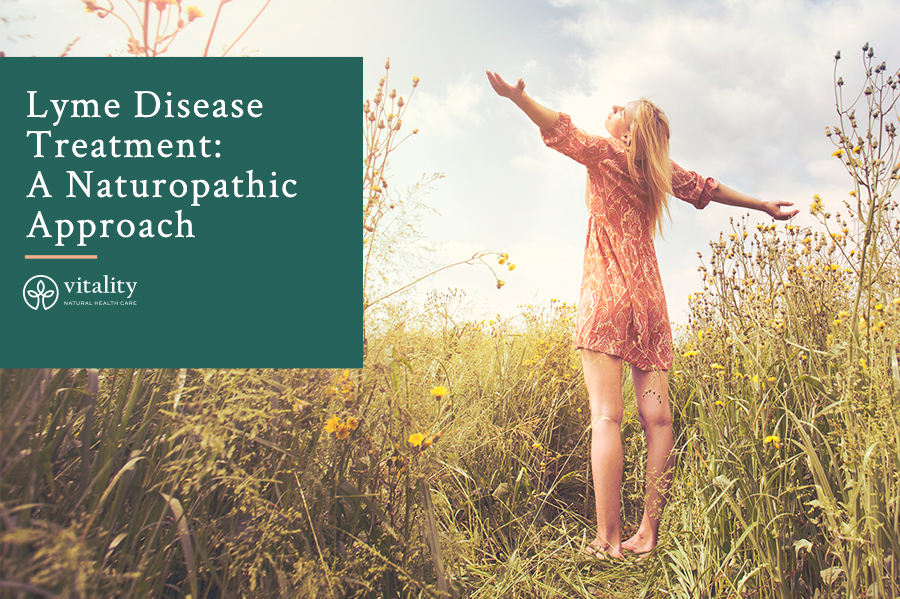 Lyme Disease Treatment Naturopathic Approach